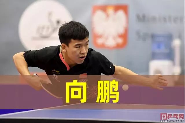 中扮演的重 中扮演的重