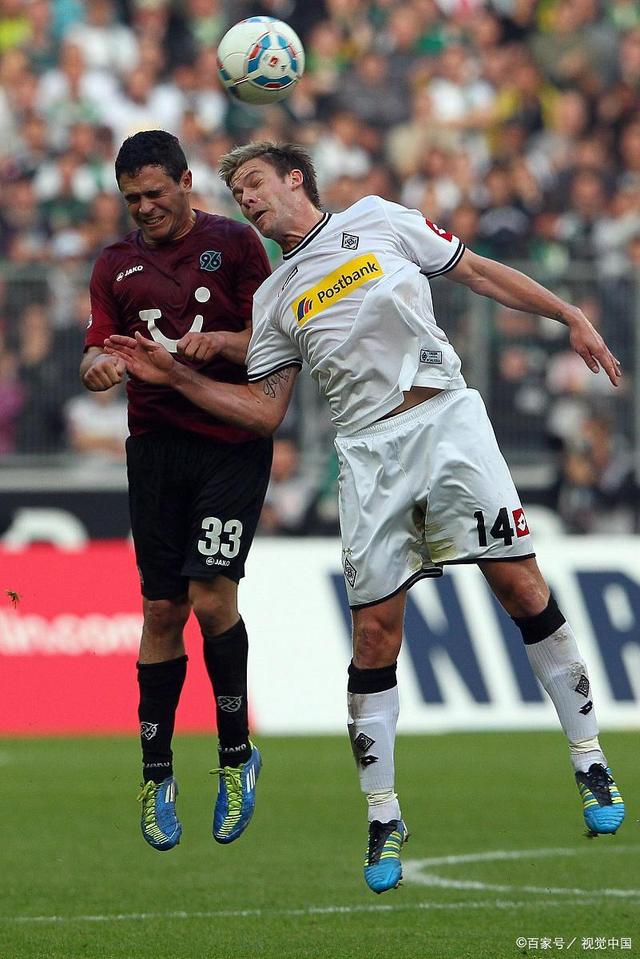 一个全新的 一个全新的