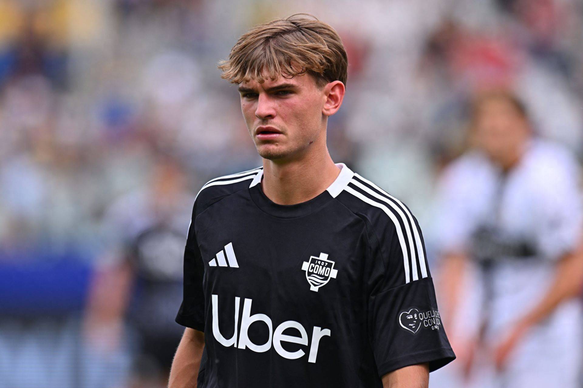 再加上合理 再加上合理