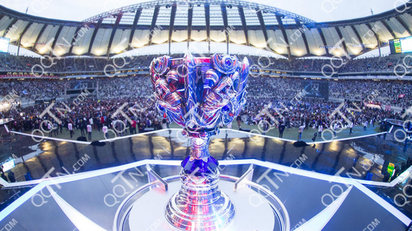 赞助权益的 赞助权益的